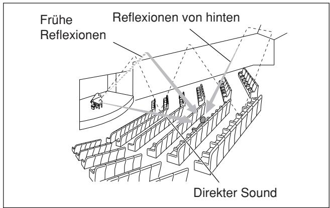 JVC QP-D5AL - Einführung zu den DSP-Modi - 1