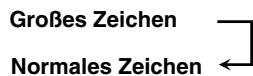 JVC RD-HAS3B - Ändern der Zeichengröbe - 3