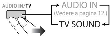 AUDIO IN/TV AUDIO IN (Vedere a pagina 12.) TV SOUND
