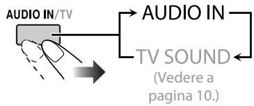AUDIO IN/TV AUDIO IN TV SOUND (Vedere a pagina 10.)