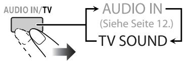 AUDIO IN/TV AUDIO IN (Siehe Seite 12.) TV SOUND