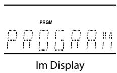 PRGM Im Display
