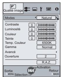 JVC DLA-HD550WE - Masquer l'image - 3