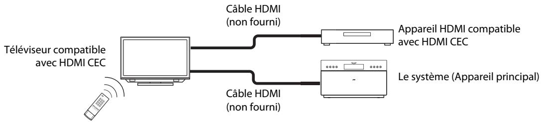 JVC NX-T5 - Opérations de base pour HDMI CEC - 1
