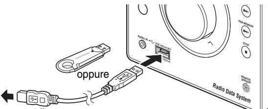 oppure RADIO IN >0.125 MHz Radio Data System