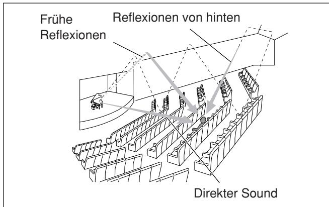 JVC RX-E12B - Einführung zu den DSP-Modi - 1