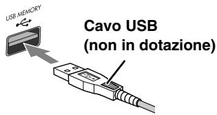 USB MEMORY Cavo USB (non in dotazione)