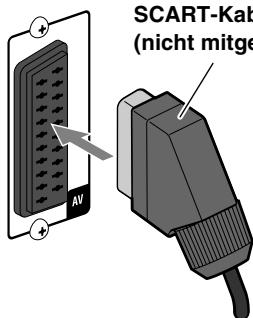 SCART-Kab (nicht mitge)