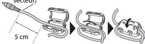 JVC UX-VJ3W - Utilisation du tore de ferrite - 1