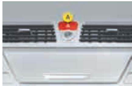 CITROEN C4 PICASSO 2009 - LE SIGNAL DE DÉTRESSE - 1