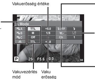 OLYMPUS FL-300R - Csoport - 1
