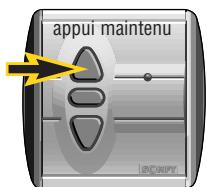 SOMFY LT50 RTS - Comment changer le sens de rotation ? - 4