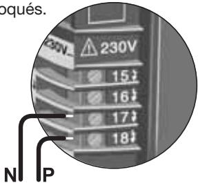 SOMFY SLD 3100 - Raccordez la phase et le neutre : - 2