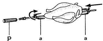 VEDETTE F719 - Utilisation du tournebroche (voir fig.) - 1