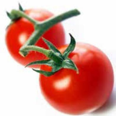 MAGIMIX 18106F MICRO - Chutney tomate chili - 1