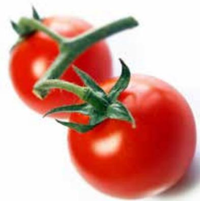 MAGIMIX 18109F MICRO - Chutney tomate chili - 1