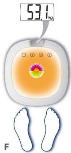 TEFAL LUMINANCE - LUMINANCE - 7