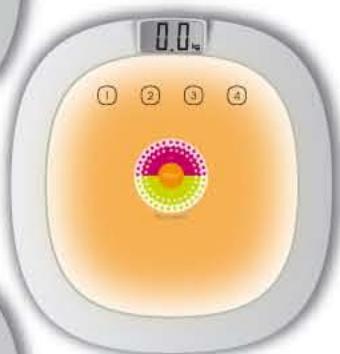 TEFAL LUMINANCE - LUMINANCE - 14