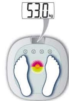 TEFAL LUMINANCE - LUMINANCE - 9