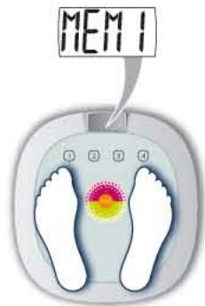 TEFAL LUMINANCE - LUMINANCE - 10