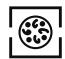 HOTPOINT FH 83 C IX/HA - Programma MULTICOTTURA - 1