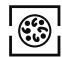 HOTPOINT FZ 962 C.2 IX/HA - Programmes de cuisson - 6
