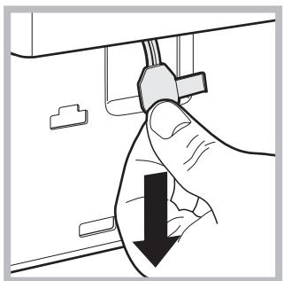 HOTPOINT AQ105D 69D EU/A - Opening the porthole door manually - 3