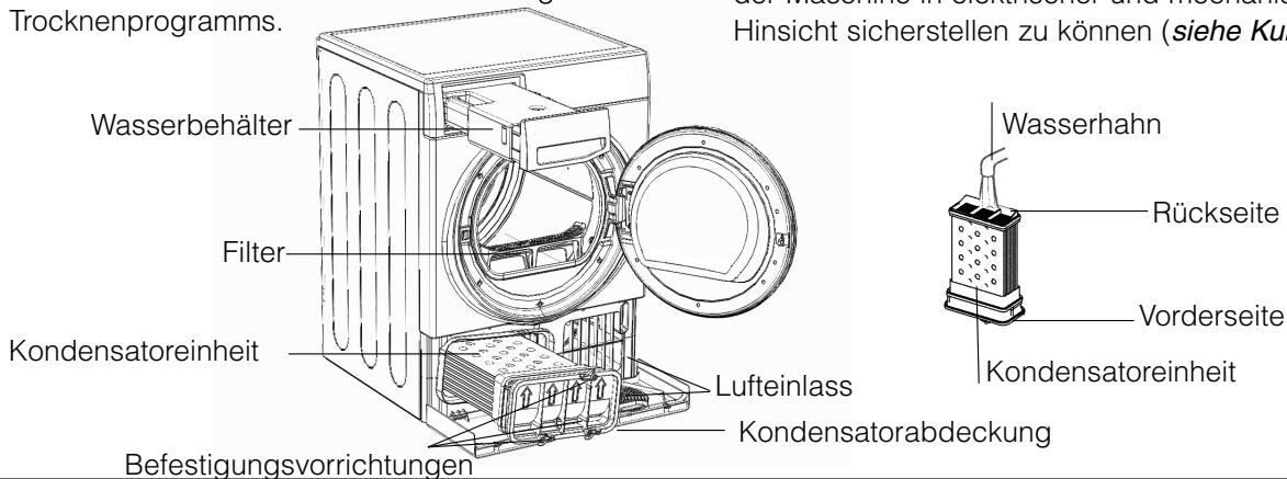 HOTPOINT TCF 87B 6PY1 - Reinigung - 1