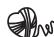 HOTPOINT AQC8 1F7T1PLUS - Programma Lana - 1