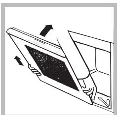 HOTPOINT FH 637 0 - Limpeza da porta - 3