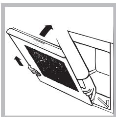 HOTPOINT FH 637 0 - Pulire la porta - 3