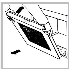 HOTPOINT FKQ 898E C 0 - Limpeza da porta - 2