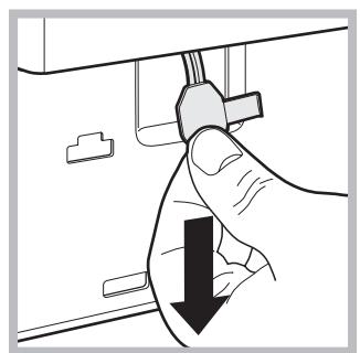 HOTPOINT AQ93F 29X EU - Opening the porthole door manually - 3
