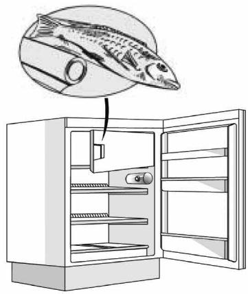 HOTPOINT BD 2422 S/HA - Vyroba'ladovychkociek - 1