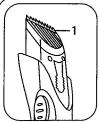 CALOR BIKINI - description generale - 1