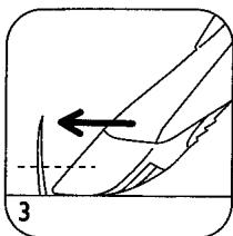 CALOR BIKINI - C- utilisation de la tondeuse BIKINI avec le PEIGNE 5 positions : - 2