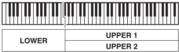 CALOR WK-6600 - Superposition et partage des sonorités - 4