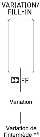 CALOR WK-6600 - Modification des motifs d'accompagnement automatique - 3