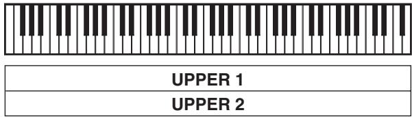 CALOR WK-6600 - Superposition et partage des sonorités - 2