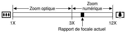 CASIO CAMERA PJ MULTIFONCTIONS - Zoom numérique - 1