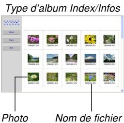 CASIO CAMERA PJ MULTIFONCTIONS - Visionnage des fichiers d'album - 1