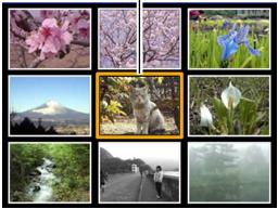 CASIO CAMERA PJ MULTIFONCTIONS - Sélection d'une photo particulière sur l'écran à 9 photos - 1