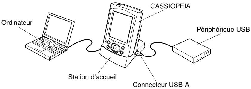 CASIO CASSIOPEIA E-200F - Pour raccorder un autre périphérique USB à la station d'accueil - 1