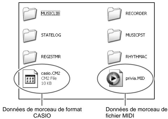 CASIO CELVIANO AP 620 - Lecture de morceaux personnalisés copiés dans le lecteur PIANO - 1