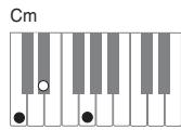 CASIO PX-320 - Important - 2