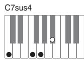 CASIO PX-320 - Important - 11