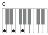 CASIO PX-320 - Important - 1