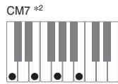 CASIO PX-320 - Important - 8
