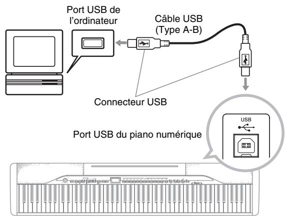 CASIO PX-320 - Important - 1