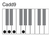 CASIO PX-320 - Important - 12